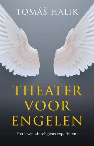 Boekenvoordeel Theater voor engelen