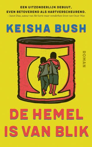 De hemel is van blik - cover