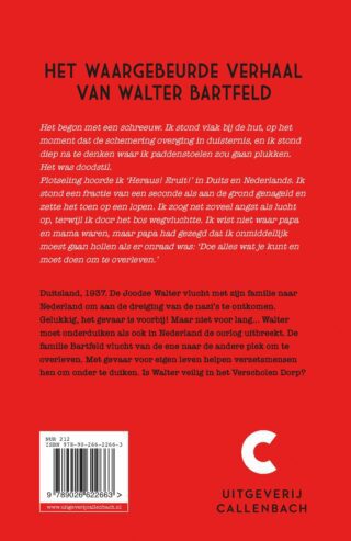 De jongen in de schaduw - achterkant