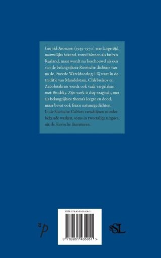 Niet deze, maar een andere stilte - achterkant