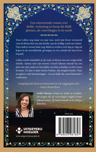 De jongen die de vuurvliegjes volgde - achterkant