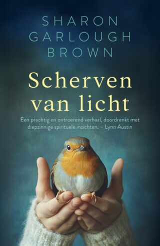 Scherven van licht - cover