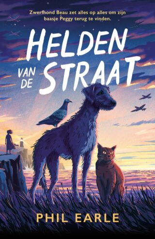 Helden van de straat - cover